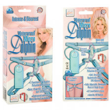 California Exotic Dolphin