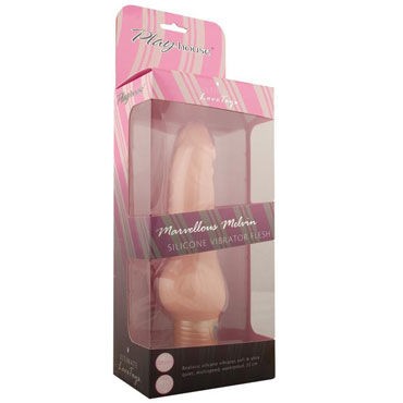 PlayHouse Marvellous Melvin