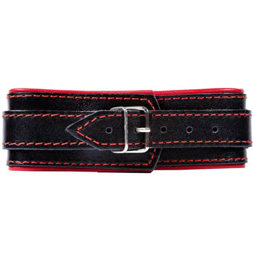 Fetish Dreams Ошейник  с кольцом