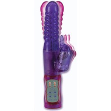 California Exotic Shanes World