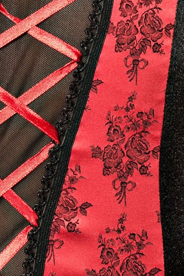 Passion Rumba Corset