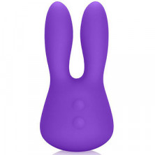 California Exotic Marvelous Bunny