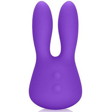 California Exotic Marvelous Bunny