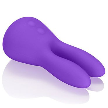 California Exotic Marvelous Bunny