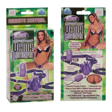 California Exotic Remote Control Butterfly