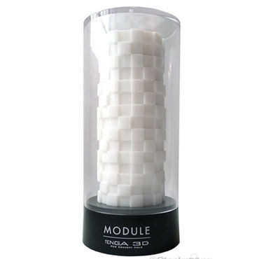 Tenga 3D Module