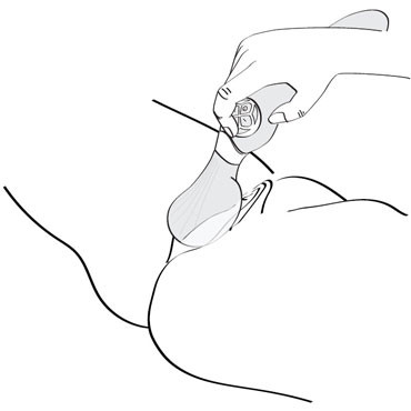 Shunga Zoa, малиновый