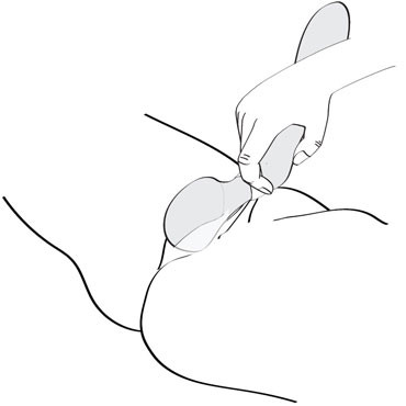 Shunga Zoa, малиновый