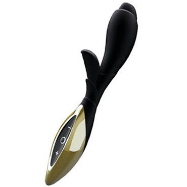 Zini Zook, черно-золотой