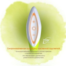 Zini Zook, черно-красный