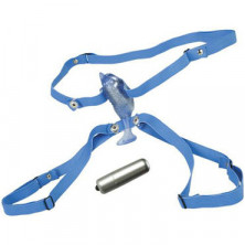 California Exotic Resonating Micro-Dolphin, голубой