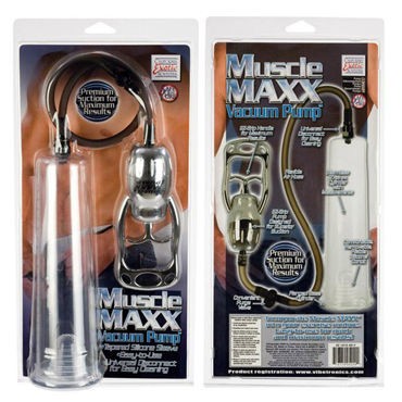 California Exotic Muscle Maxx