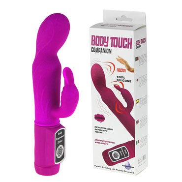 Baile Body Touch Companion