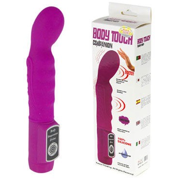 Baile Body Touch Companion