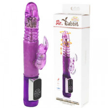 Baile Mr. Rabbit Up and Down