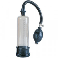 California Exotic Bullfighter