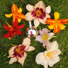 Gvibe Gjuice Toy Cleaner, 60 мл