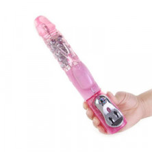 Baile Travel Raptner Fun