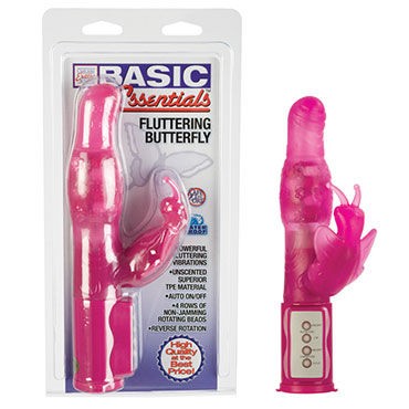 California Exotic Butterfly