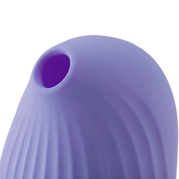 Cuddly Bird, фиолетовый