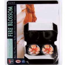 Dream toys Шарики вагинальные