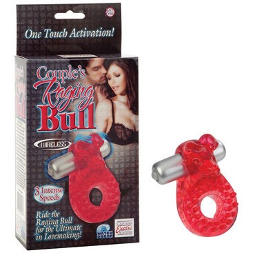 California Exotic Couples Raging Bull